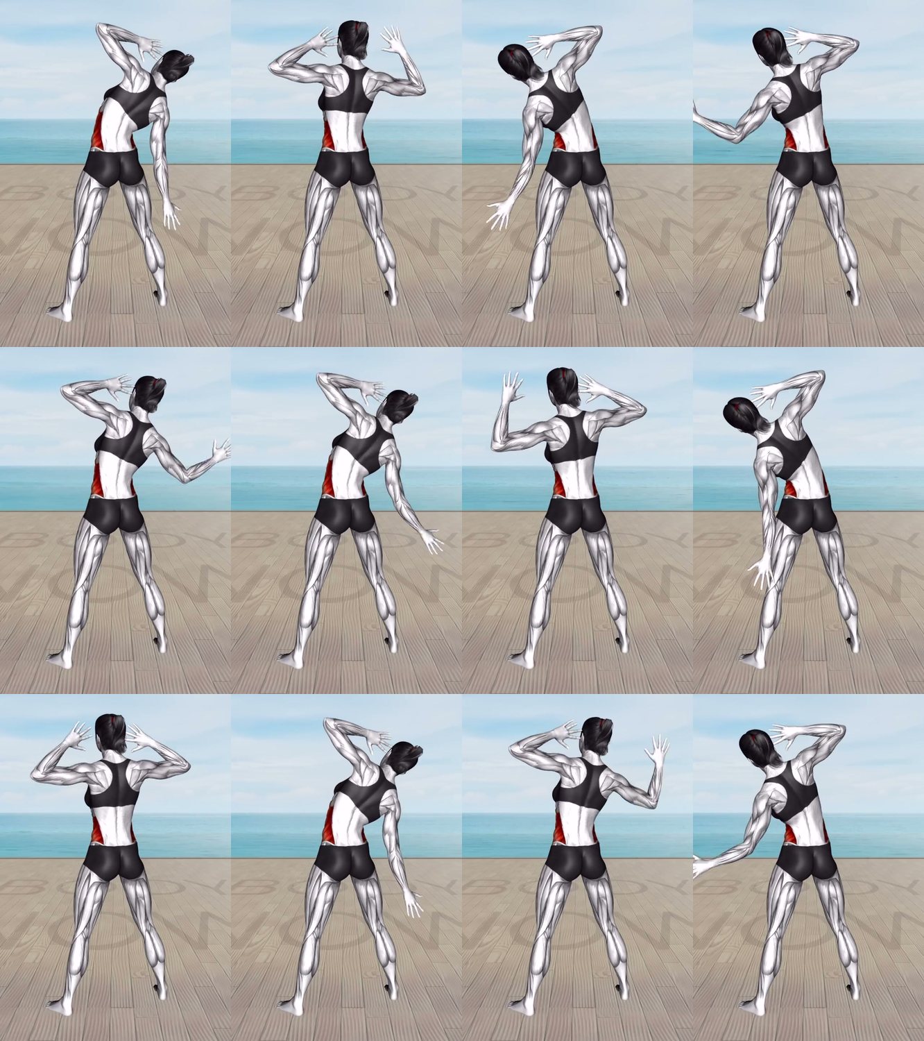 Hands-Behind-Head Torso Twist keyframes